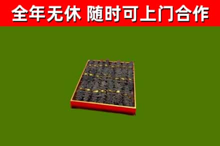 日照烟酒回收海参.jpg